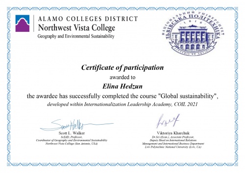 Certificate Elina Hedzun.jpg